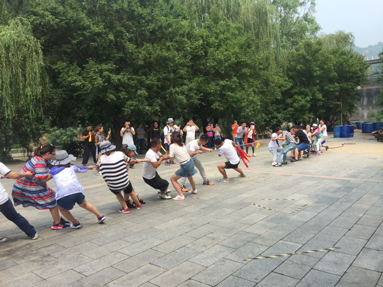 势均力敌的拔河比赛